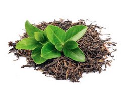 Ayurvedic Herbal Green Tea